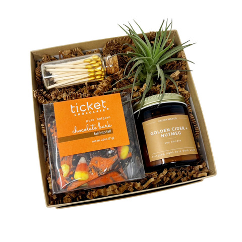 Fall inspired gift box with candy corn chocolate bark, cider and nutmeg scented candle, matches and an air plant
