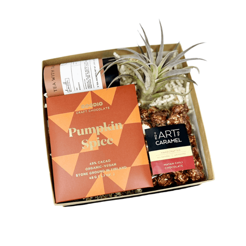 gift box with pumpkin spice chocolate bar, mayan chili chocolate popcorn, honella rooibos tea sachets and small air plant