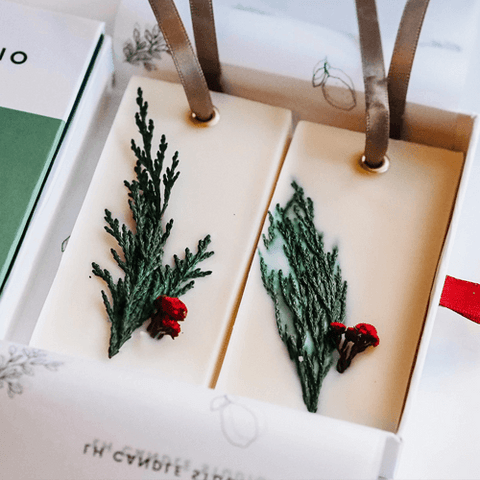 Set of 2 pine and sage wax ornaments | Bon Vivant Gift Boxes, Austin TX